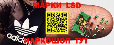 spice Гатчина