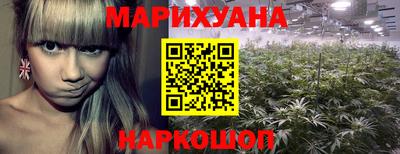 прущие крисы Гай