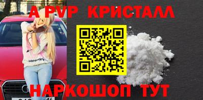 spice Гатчина