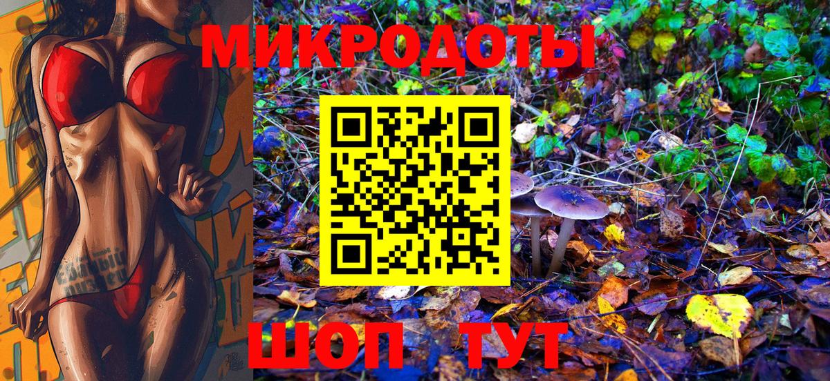 Галлюциногенные грибы Psilocybe  Вход с VPN  Галлюциногенные грибы Psilocybe  как найти наркотики  Ногинск 